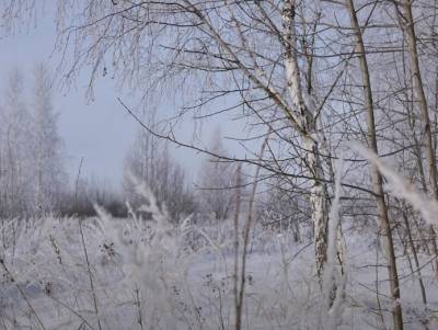 11-градусные морозы и гололед: Диденко рассказала, какой будет погода в воскресенье, 6 декабря