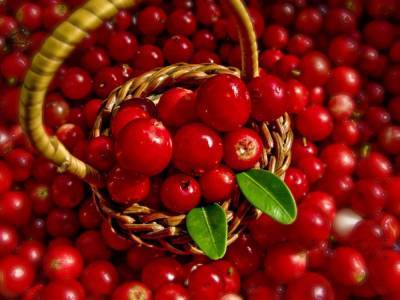 Какие плоды и ягоды помогут улучшить состояние здоровья? - skuke.net
