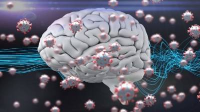 Биолог предупредила о способности коронавируса проникать в мозг человека