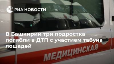 В Башкирии три подростка погибли в ДТП с участием табуна лошадей - ria.ru - Башкирия - Уфа