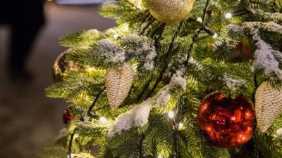 В Вифлееме зажглись огни на рождественской елке