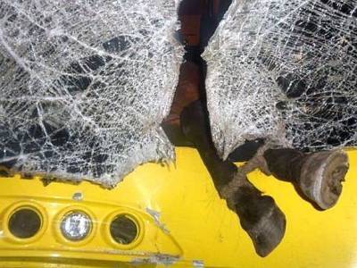Страшная авария в Башкирии: машина с подростками «влетела» в табун лошадей, трое погибли