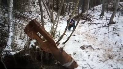 В лесу на Сахалине уничтожили старую авиабомбу