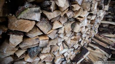 Власти Коми могут вдвое сократить плату населения за дрова