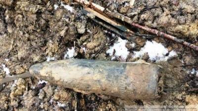 Найденную в лесу авиабомбу уничтожили на Сахалине