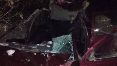 В Башкирии автомобиль влетел в табун лошадей: погибли трое подростков