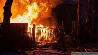 Семилетний ребенок погиб в результате пожара под Нижним Новгородом