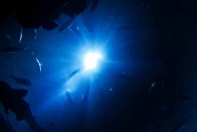 Ученым удалось разгадать тайну живых “черных дыр” в морских глубинах