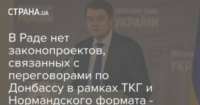В Раде нет законопроектов, связанных с переговорами по Донбассу в рамках ТКГ и Нормандского формата - Разумков
