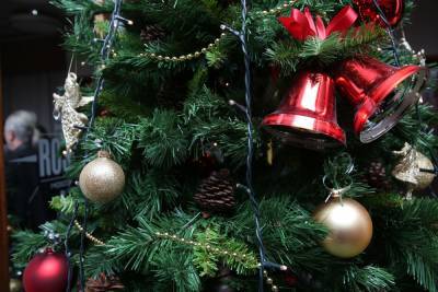 Россиян призвали не ставить новогодние елки высотой до потолка