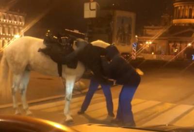 Видео: пьяную наездницу сняли с лошади неподалеку от Казанского собора в Петербурге