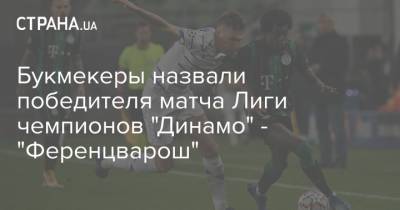 Букмекеры назвали победителя матча Лиги чемпионов "Динамо" - "Ференцварош"