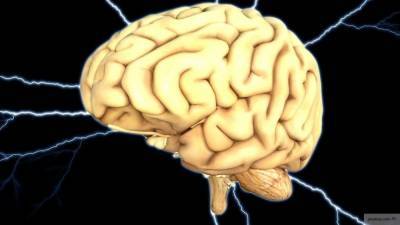 Ученые рассказали о новом способе защиты мозга после травм