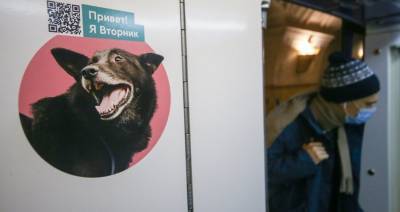 Около 200 животных нашли дом с помощью поезда московского метро