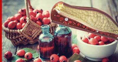 Простой ягодный экстракт оказался мощным средством от холестерина