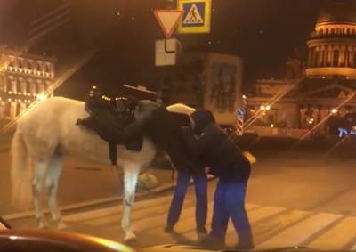 Женщины на лошадях подрались с охранниками петербургского ЗакСа