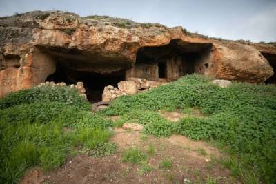 Ранее неизвестные пещеры с останками неандертальцев обнаружили на Алтае