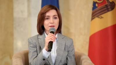 Сторонники Санду требуют проведения внеочередных выборов в парламент Молдовы