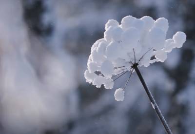Ударит до 26 мороза: в Украину идут лютые холода – каким регионам готовиться
