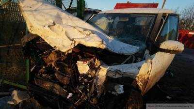 Пассажирка Chevrolet погибла в ДТП с деревом под Саратовом