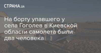На борту упавшего у села Гоголев в Киевской области самолета были два человека