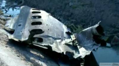 Легкомоторный самолет потерпел крушение под Киевом