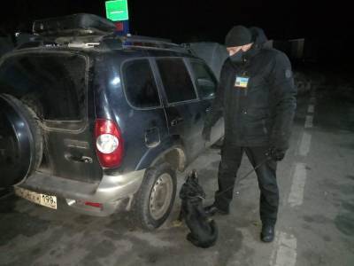 Украинец на авто с российскими номерами пытался ввезти в Беларусь партию пневматического оружия