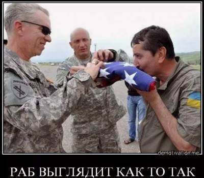 США официально поблагодарили ВСУ за войну в Донбассе