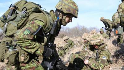 Латвия, Эстония и Литва расформировали совместный батальон после учений