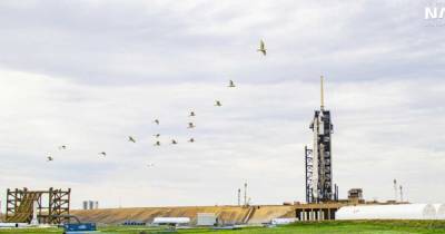 Crew Dragon - SpaceX запустила Dragon 2 на Международную космическую станцию - focus.ua - Украина - шт.Флорида