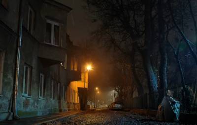 "Особенно следите за детьми…": опасные хищники открыли охоту на украинцев – нападают по ночам