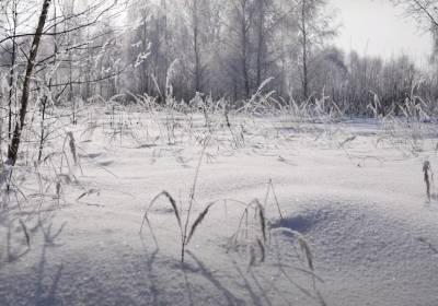 Мороз и солнце, день чудесный: Наталка Диденко рассказала, какой будет погода в понедельник, 7 декабря