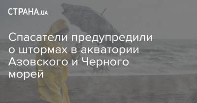 Спасатели предупредили о штормах в акватории Азовского и Черного морей
