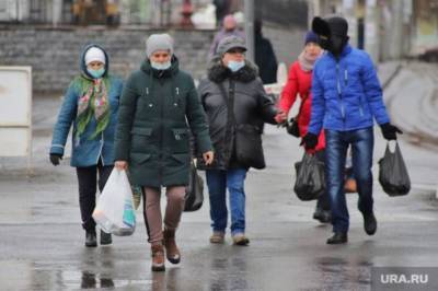 Большинство россиян одобряют меры властей по борьбе с коронавирусом