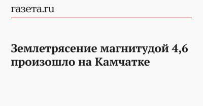 Землетрясение магнитудой 4,6 произошло на Камчатке - gazeta.ru - респ.Бурятия - Камчатский край - Курильск - Камчатск