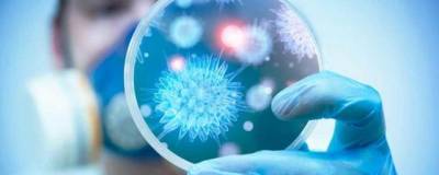 Врачи и биологи предупреждают о формировании суперинфекции