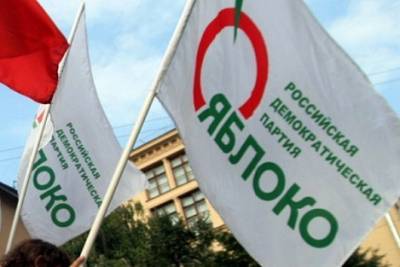"Яблоко" разработало проект реформы партии