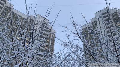 Мощный антициклон установит в Европейской России солнечную зимнюю погоду