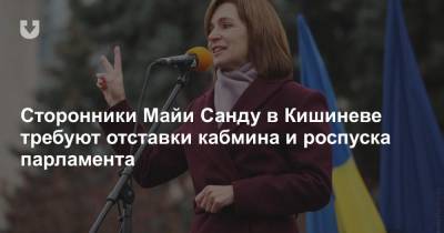 Сторонники Майи Санду в Кишиневе требуют отставки кабмина и роспуска парламента