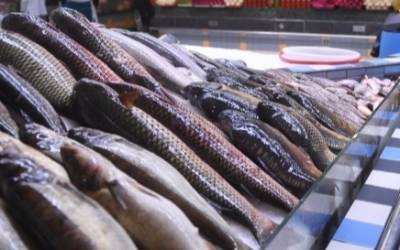 Власти Приморья отмечают снижение налоговых доходов от рыбной отрасли