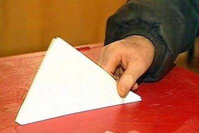 «Единая Россия» предварительно займёт большинство мест в совете Приаргунского округа