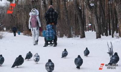 Российские семьи с маленькими детьми получат новые выплаты в декабре