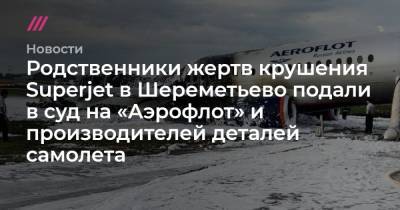 Родственники жертв крушения Superjet в Шереметьево подали в суд на «Аэрофлот» и производителей деталей самолета