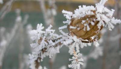 В Украину пришли настоящие зимние морозы