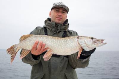 Воронежские рыбаки массово высыпали на первый лёд