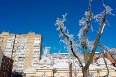 Названы катастрофические последствия ледяного дождя для экологии Владивостока
