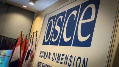 ОБСЕ собирается взять под свой контроль контрабанду оружия в Донбассе