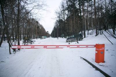 В Минздраве предложили ограничить передвижение россиян по стране в новогодние каникулы