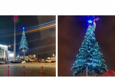 В Краснодаре на Главной городской площади поставили новогоднюю елку