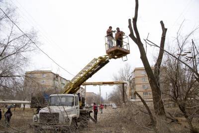 Астраханских коммунальщиков учили эффективной опиловке деревьев